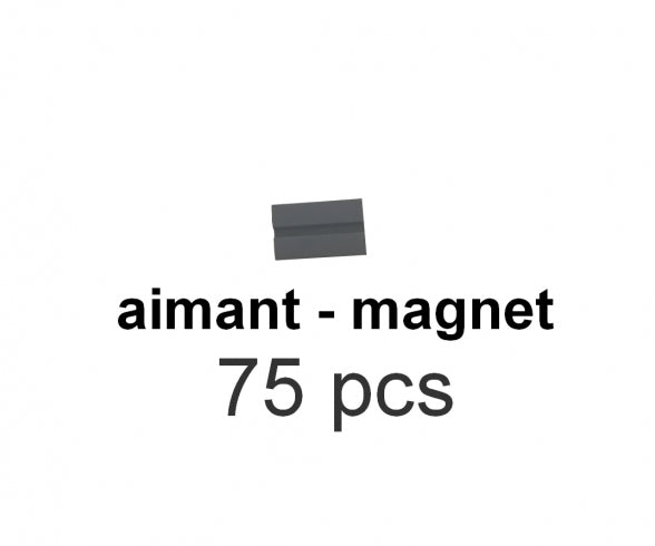 75 AIMANTS AAK0523