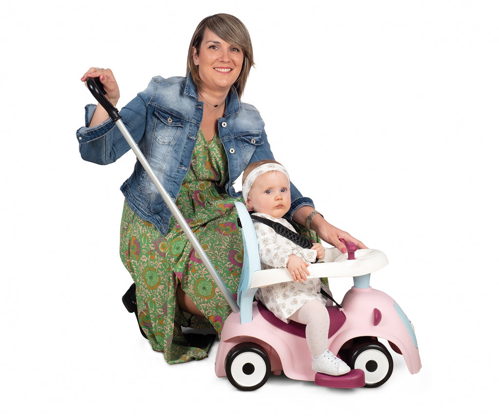 Porteur Maestro Balade Rose