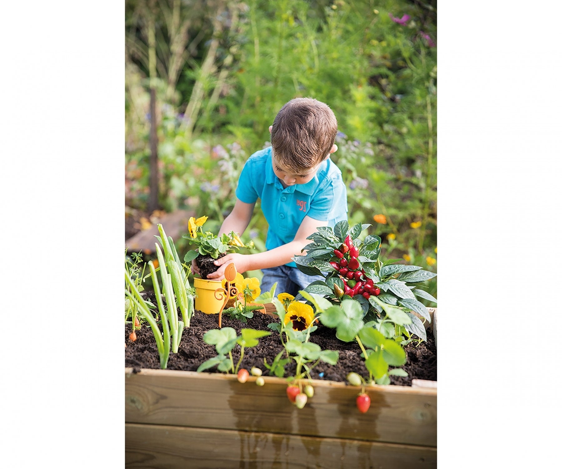 SCP Sac De Jardinage