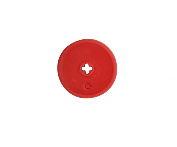 TOMATE ROUGE 1795 GRAPPE DE 2 I2102600